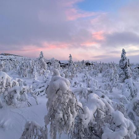 Villa Haukka Saariselkä Exterior foto