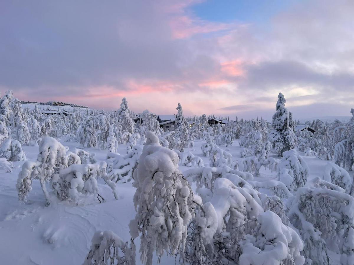Villa Haukka Saariselkä Exterior foto